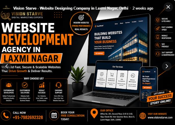 Website Designing Company in Mayur Vihar | Vision Starve